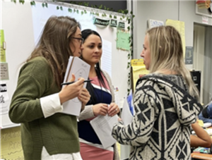 Consultant working with Staff Members